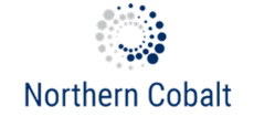 Northern Cobalt Ltd
